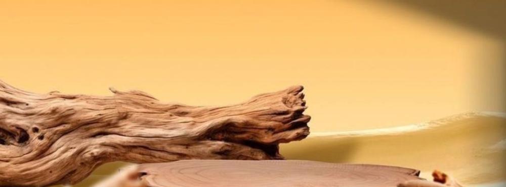 PAPELARIA Encanto cover